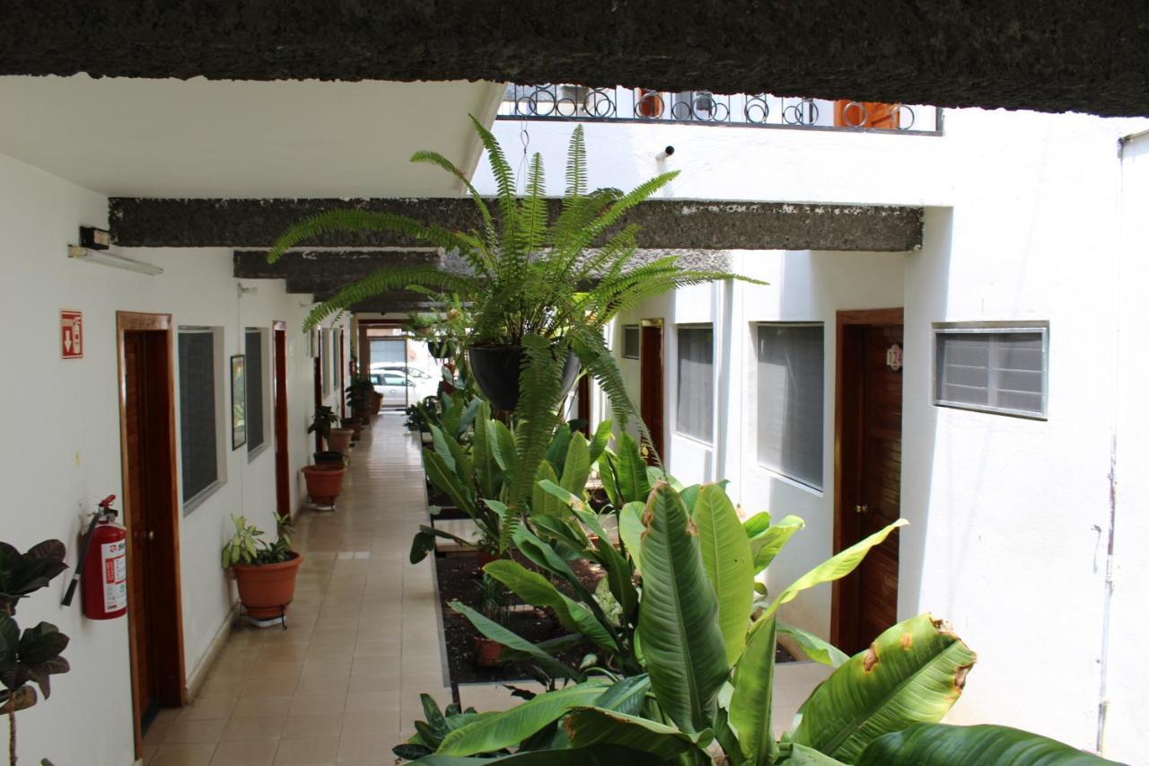 Hotel Casablanca Tuxtla Tuxtla Gutiérrez Exteriér fotografie